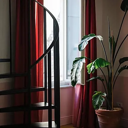Il